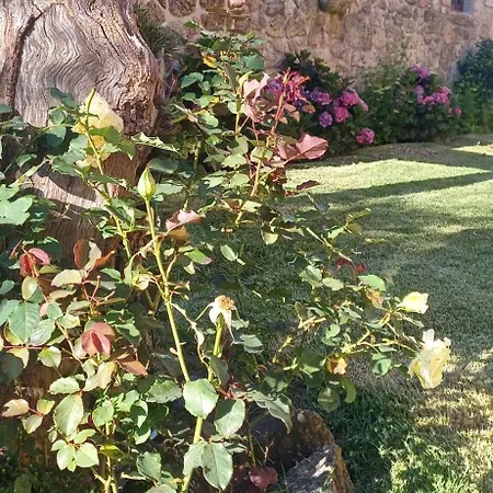 O Celeiro - Espaco Rural * Tougues