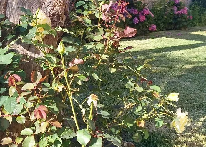 O Celeiro - Espaco Rural * Tougues